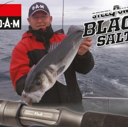 SteelPower - Черная соль